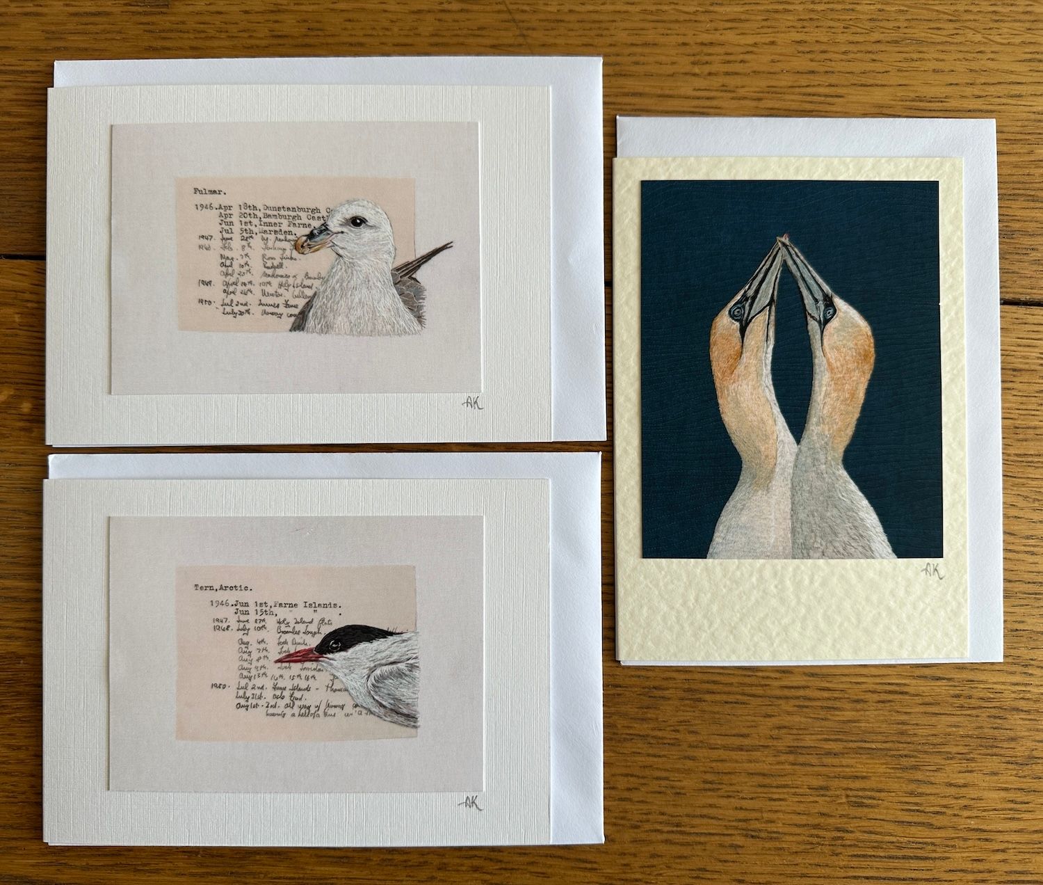 Coastal Birds Card Set 9 -  (Pack of 3)