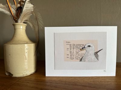 Coastal Birds Card Set 9 -  (Pack of 3)
