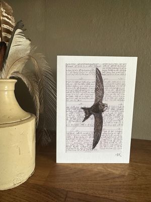 'Hanging by a Thread' Card Set 11 -  (Pack of 4)