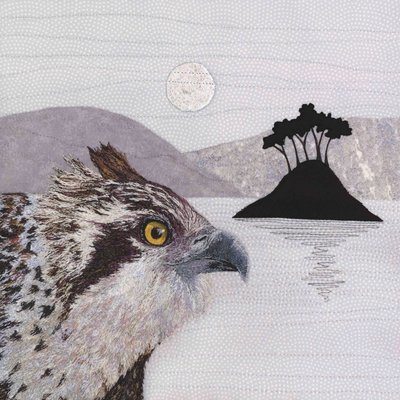'Coming Home' Osprey - Limited Edition Giclee Print