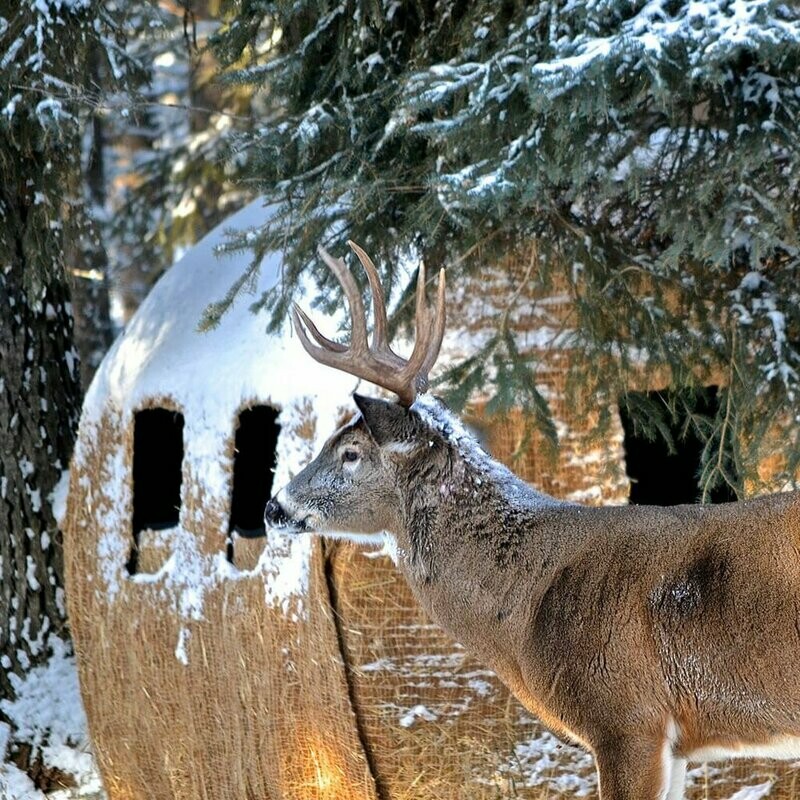 Redneck Blinds Outfitter HD Bale Blind 