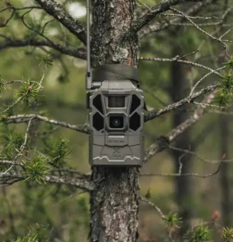Tactacam Reveal Pro 3.0 Cellular Camera with Tactacam Solar Panel