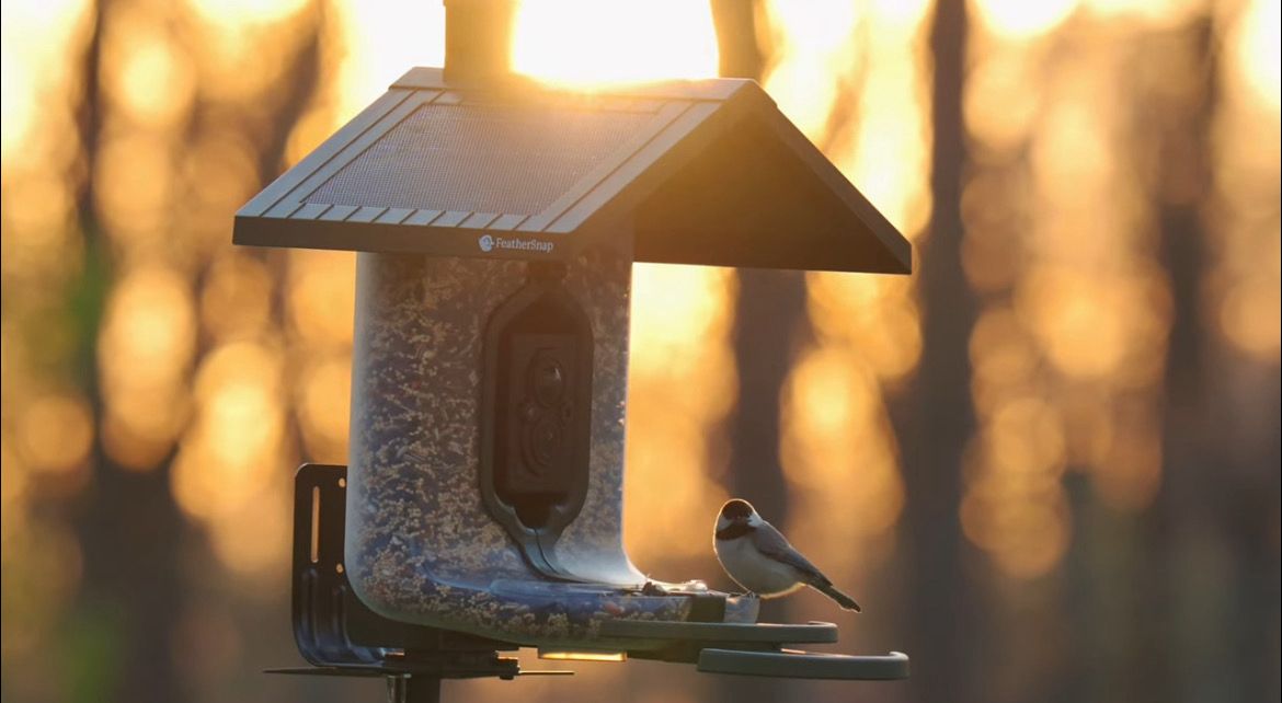 Feathersnap Scout Smart Birdfeeder
