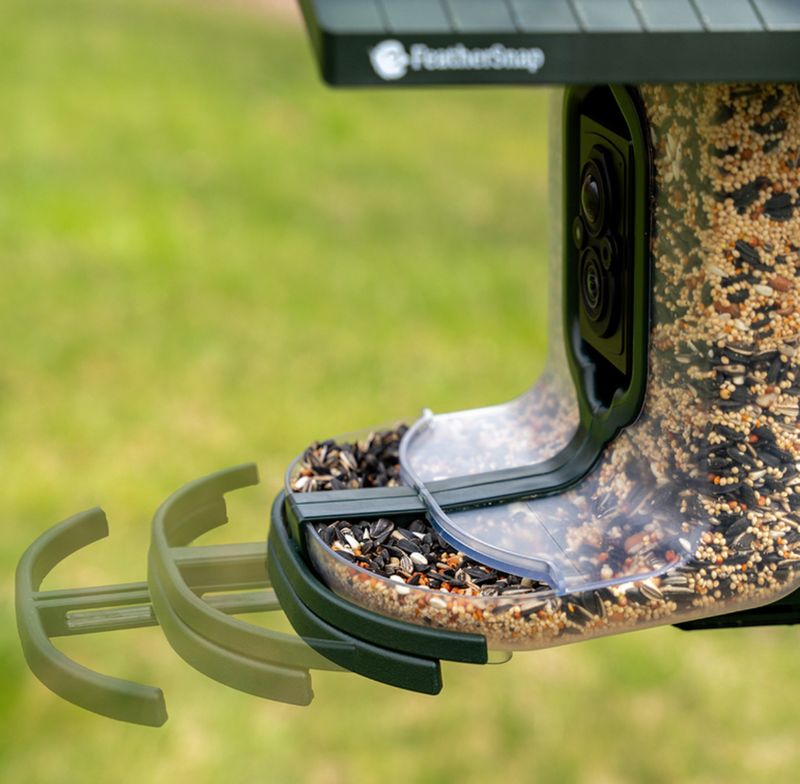 Feathersnap Scout Smart Birdfeeder