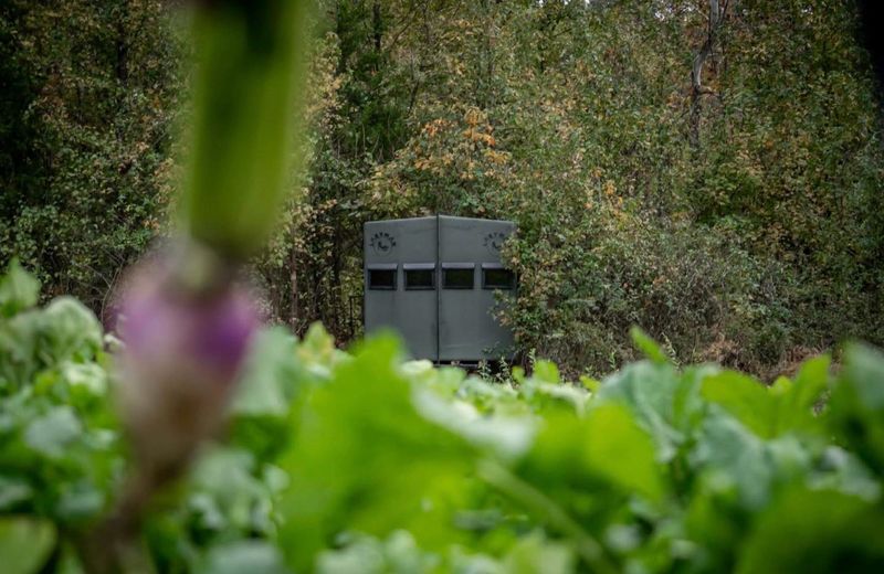 Lazyman Penthouse Hunting Blind 4x6
