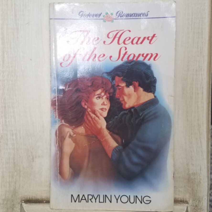 The Heart of the Storm by Marylin Young