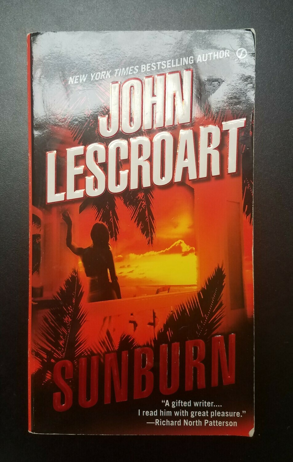 Sunburn by John Lescroart