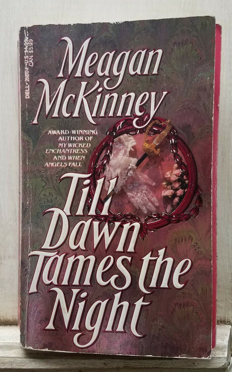 Till Dawn Tames the Night by Meagan McKinney