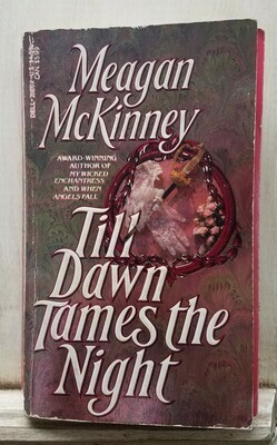 Till Dawn Tames the Night by Meagan McKinney
