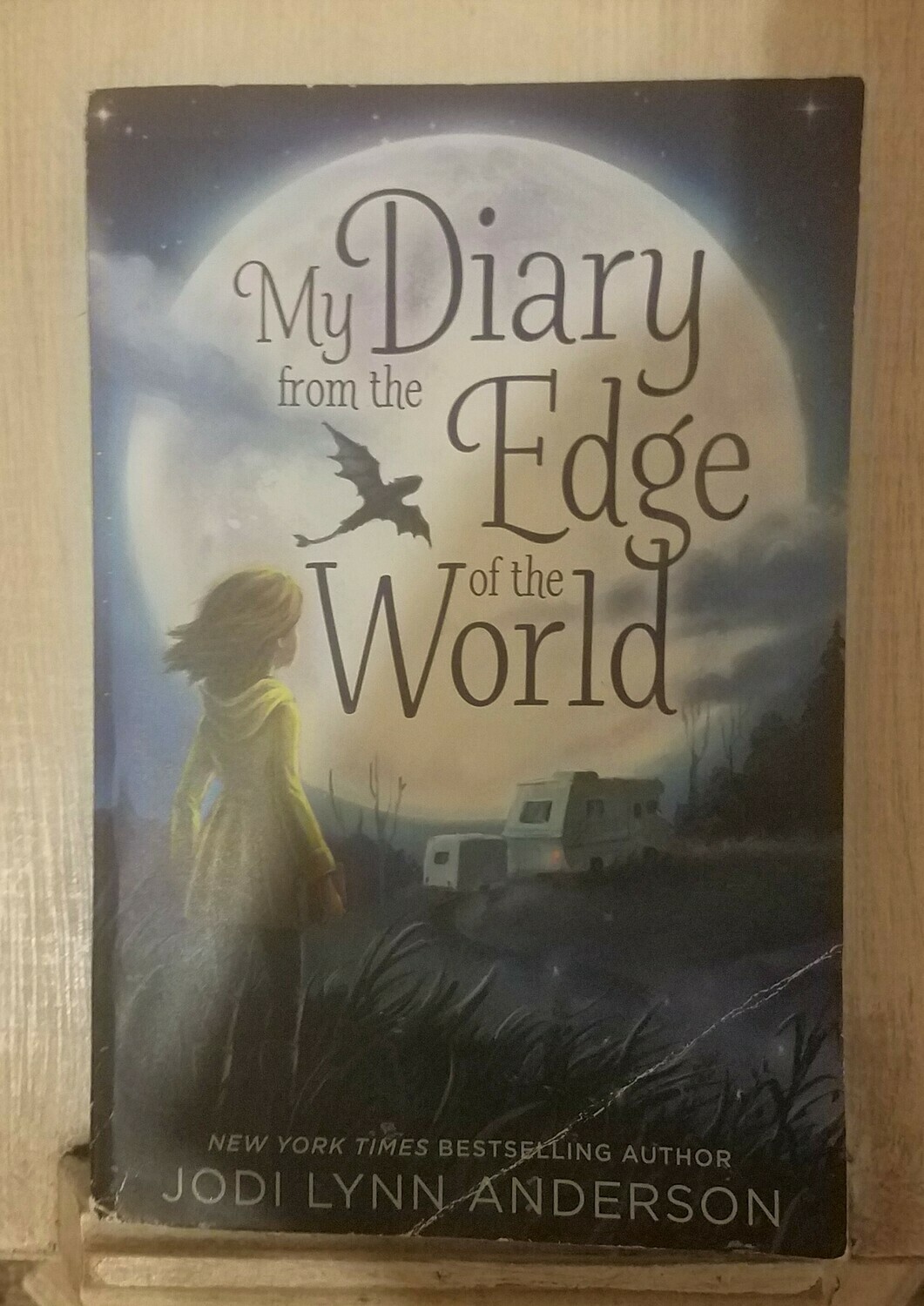 My Diary from the Edge of the World by Jodi Lynn Anderson