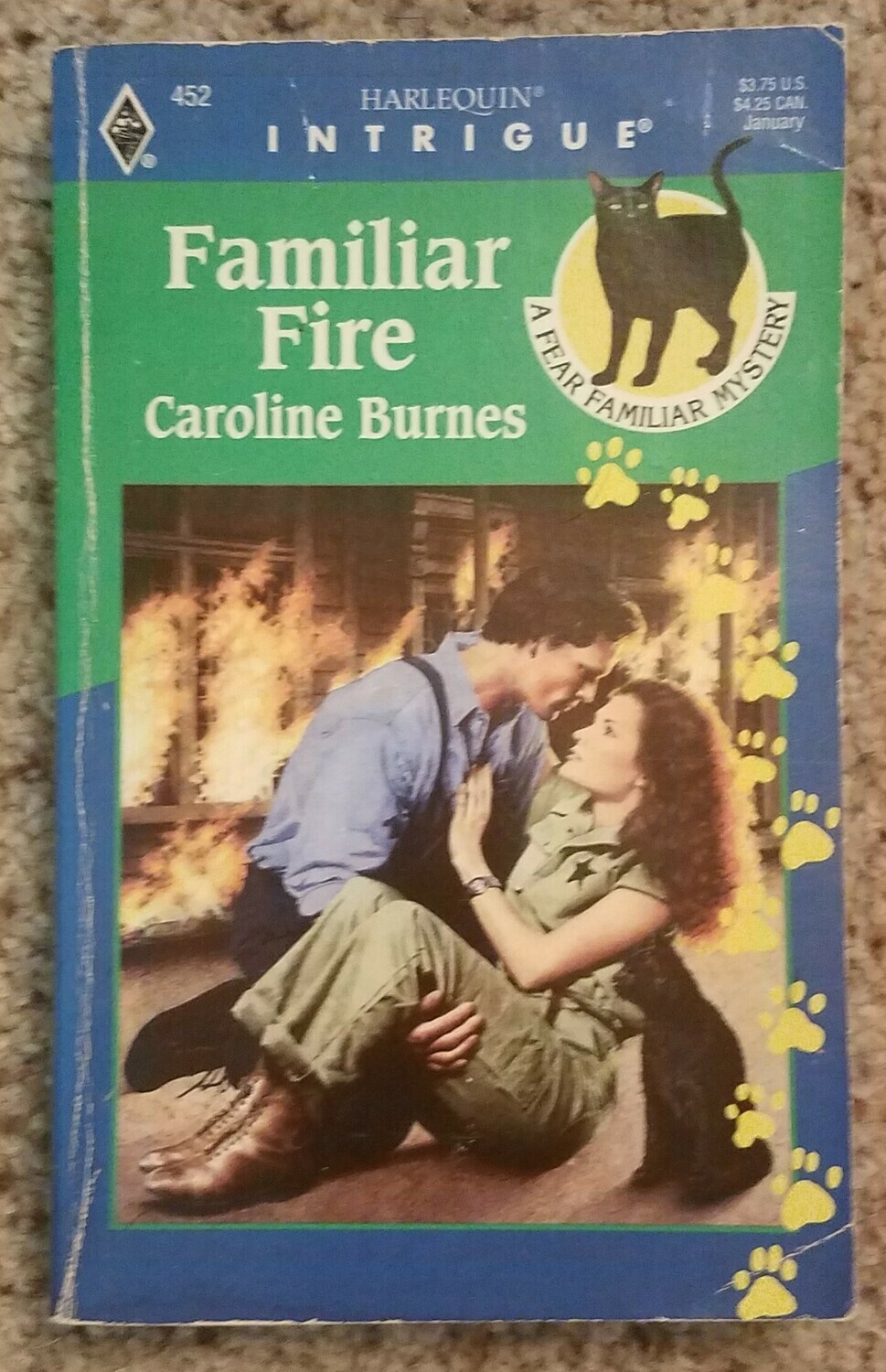 Familiar Fire by Caroline Burnes