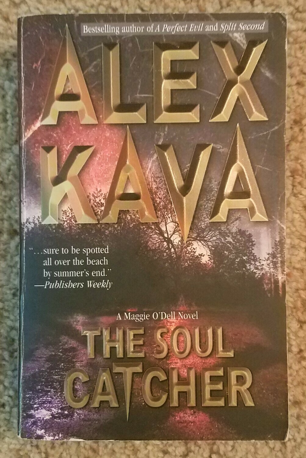 The Soul Catcher by Alex Kava