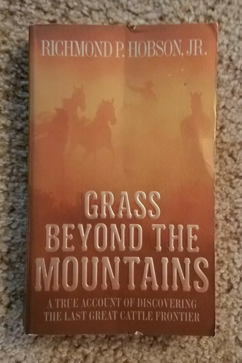 Grass Beyond the Mountains by Richamond P. Hobson Jr.