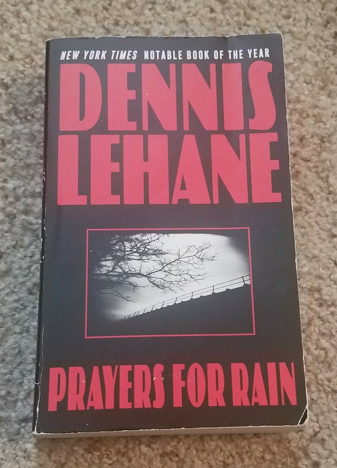 Prayers for Rain by Dennis Lehane