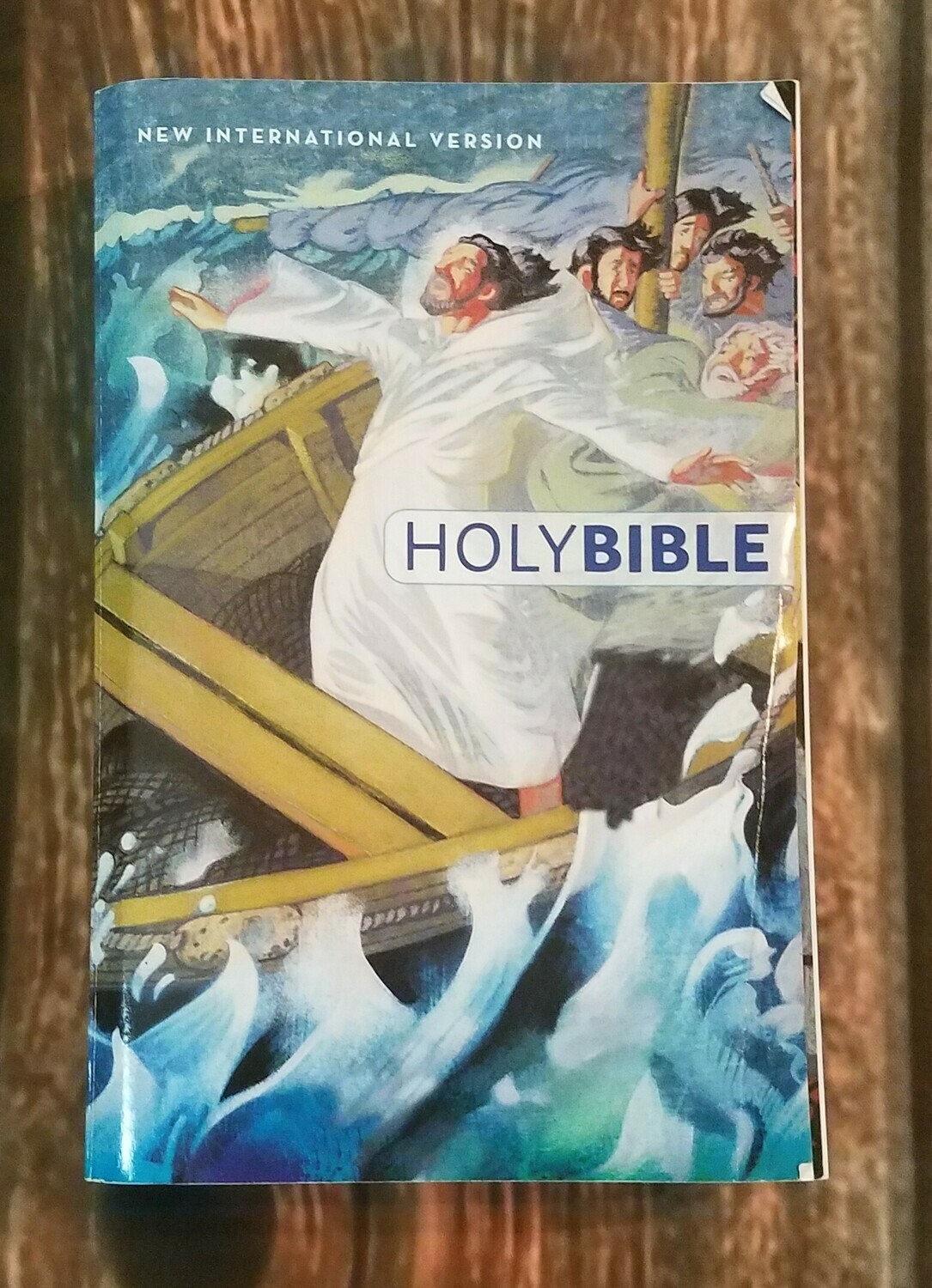 NIV Children's Holy Bible - Paperback Edition
