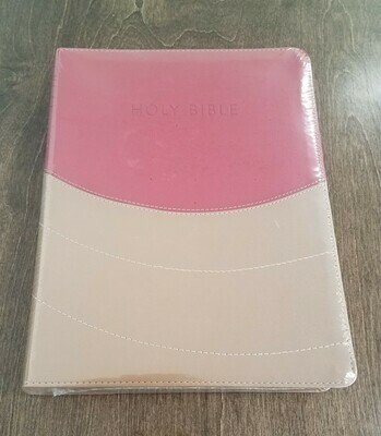 NIV Ministry Essentials Bible - Flexisoft Brick/Sand Imitation Leather