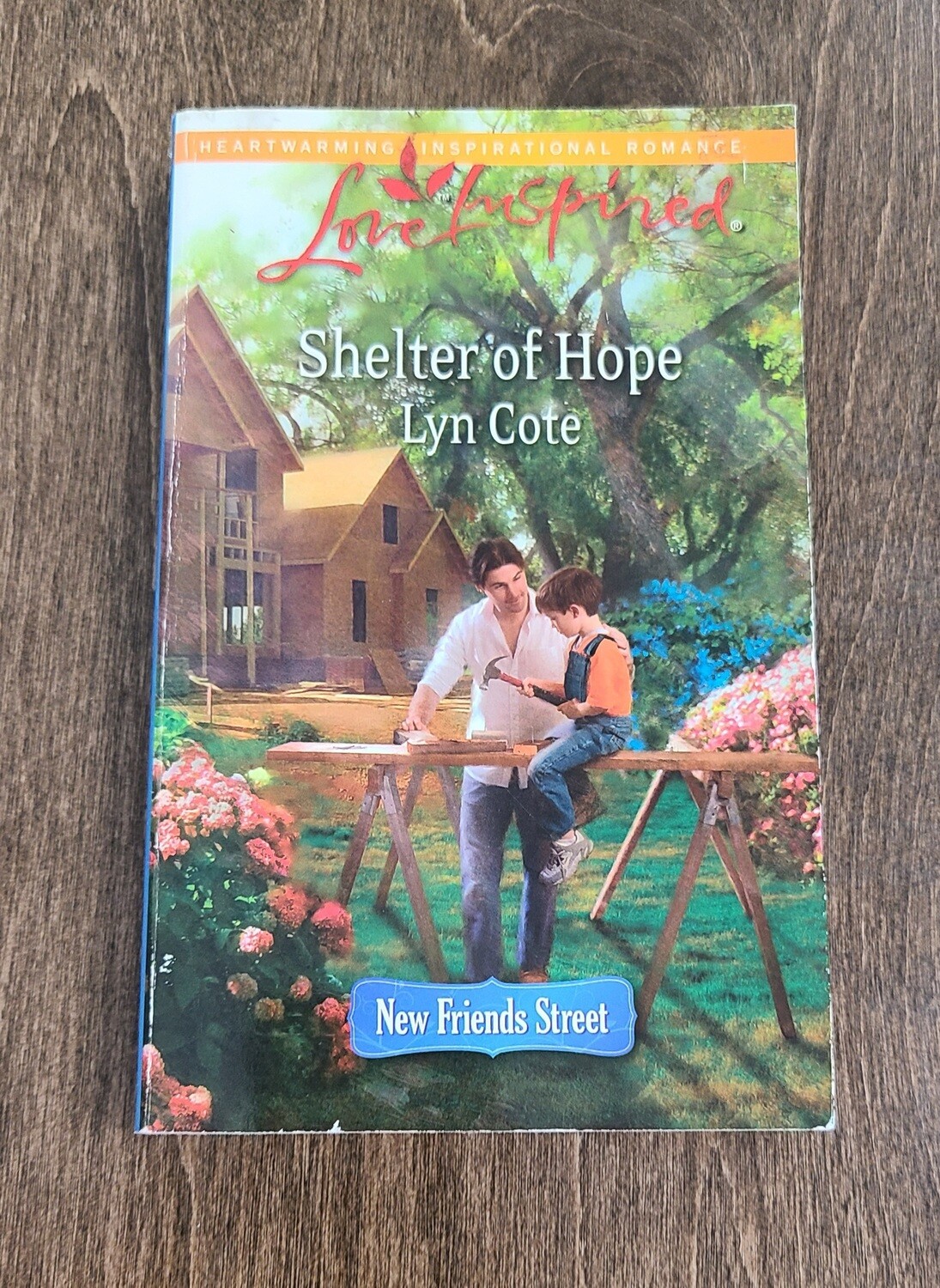 Shelter of Hope by Lyn Cote