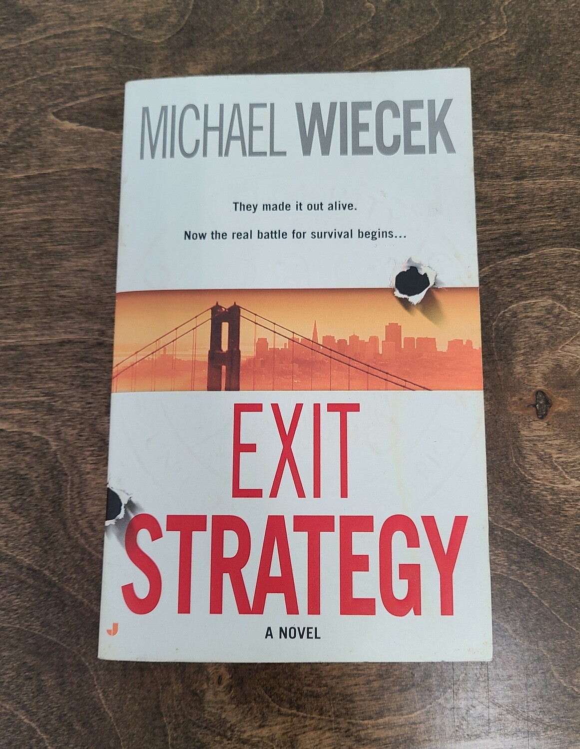 Exit Strategy by Michael Wiecek