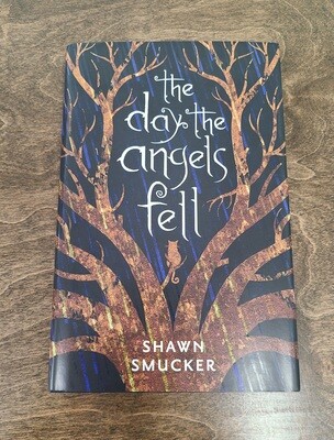 The Day the Angels Fell by Shawn Smucker