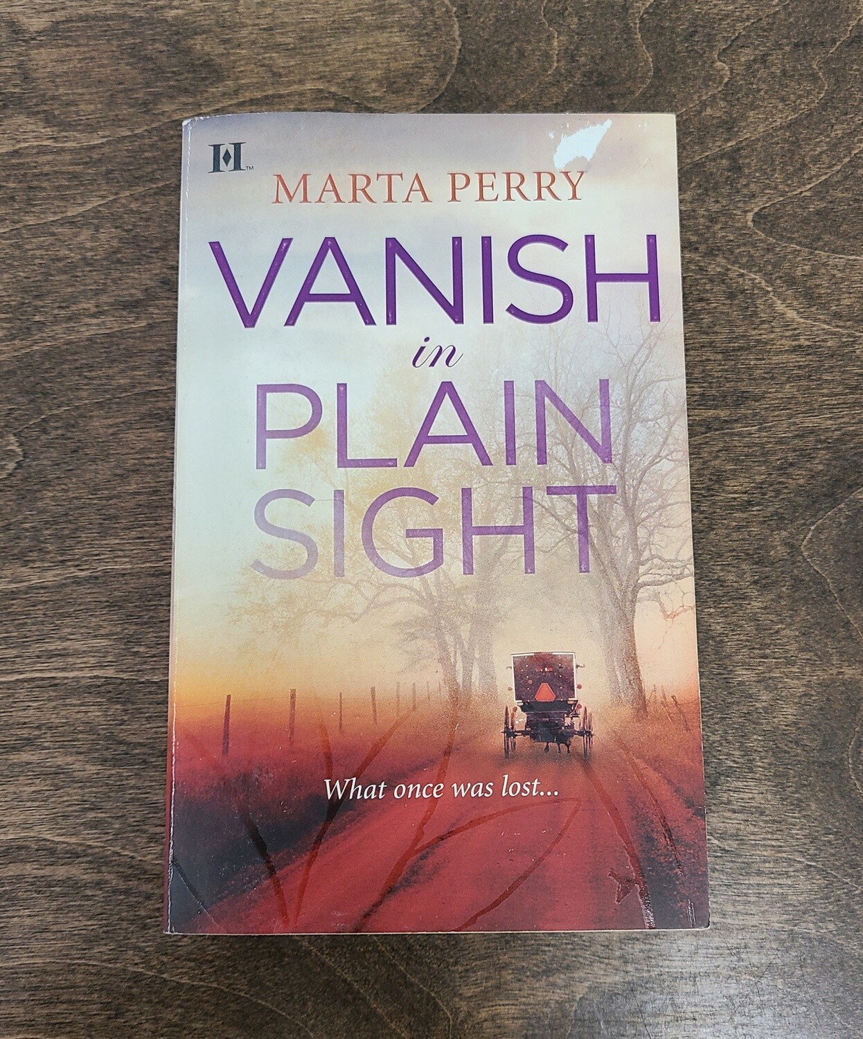 Vanish in Plain Sight by Marta Perry