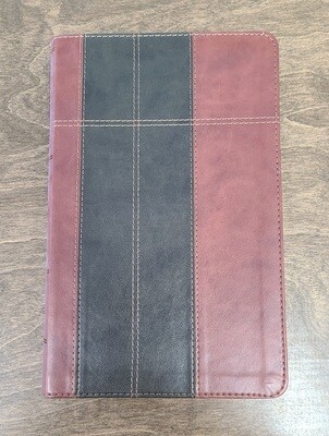 KJV Study Bible Thumb-Indexed Edition - Chocolate/Brown Soft Imitation Leather