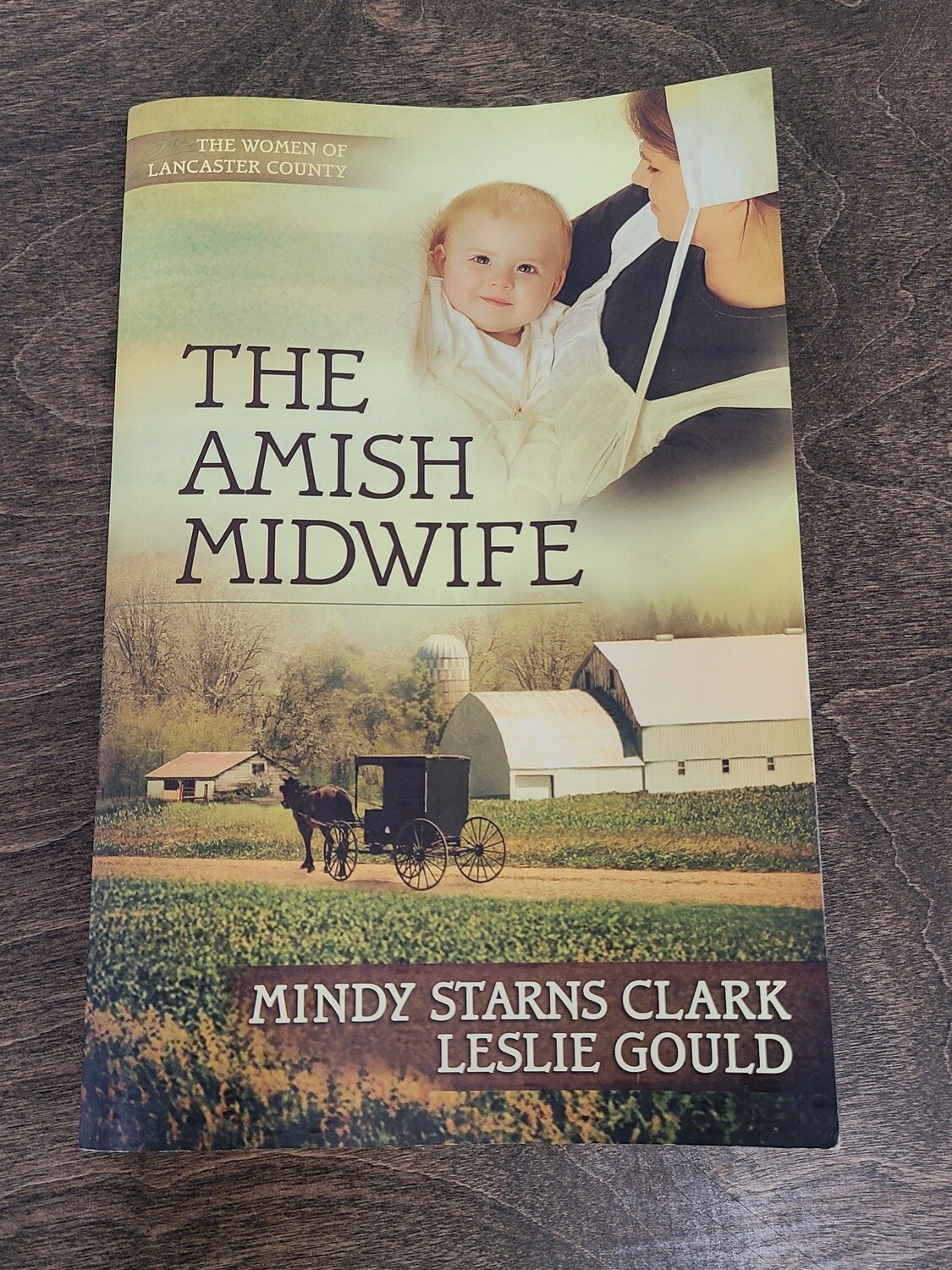 The Amish Midwife by Mindy Starns Clark and Leslie Gould