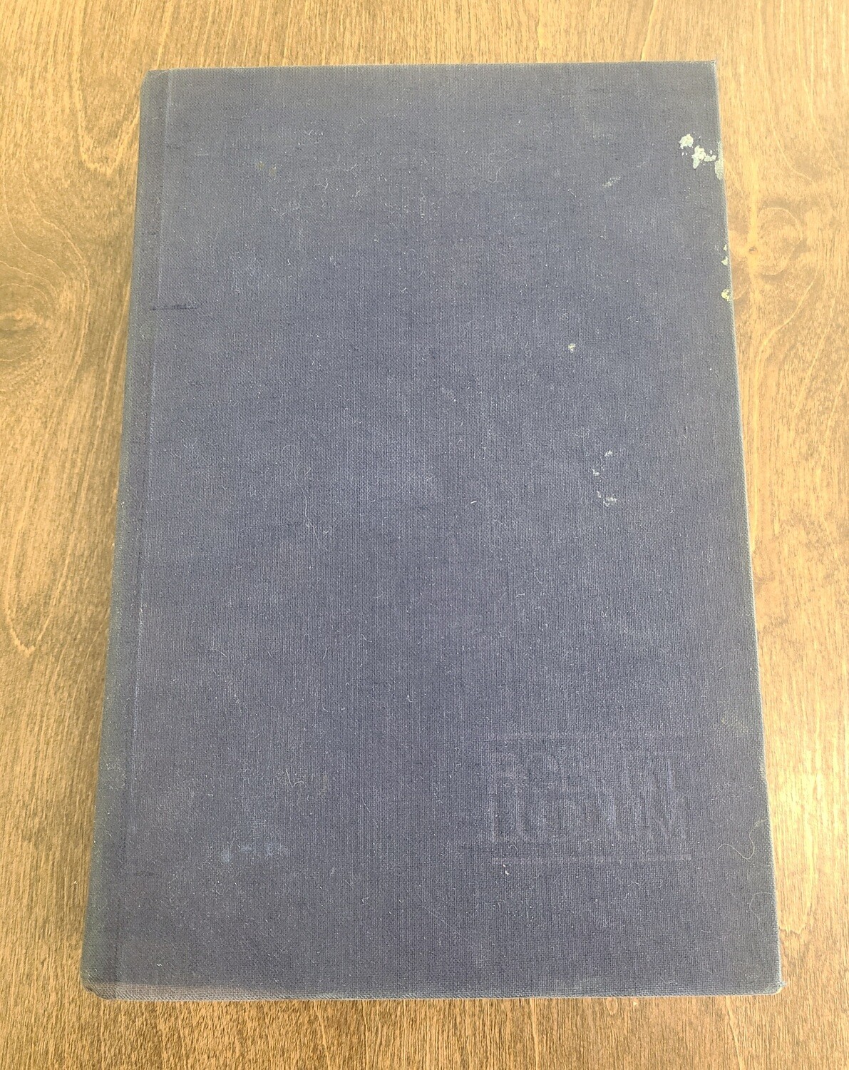 The Icarus Agenda by Robert Ludlum