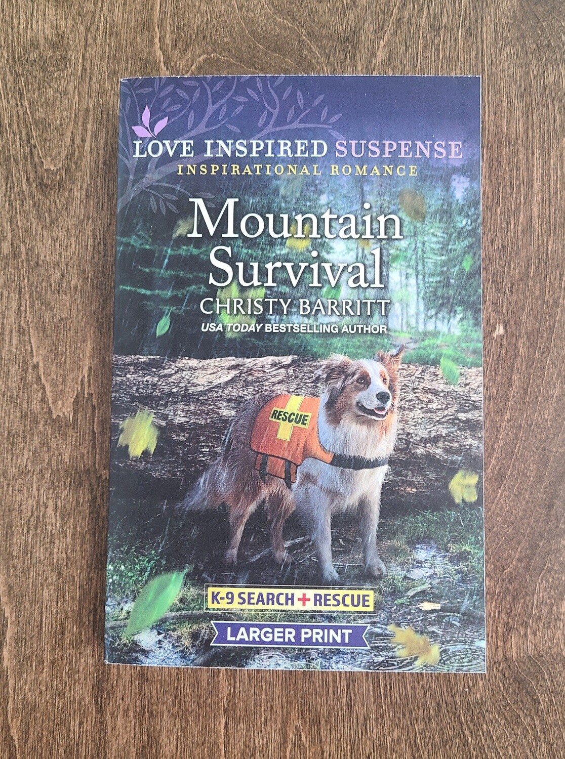 Mountain Survival by Christy Barritt