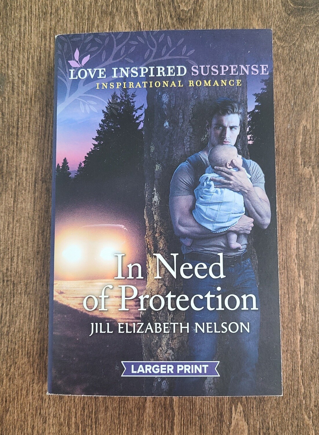 In Need of Protection by Jill Elizabeth Nelson