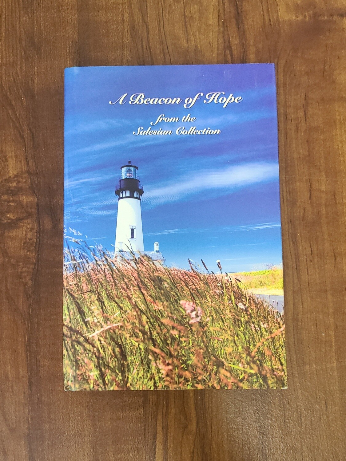 A Beacon of Hope: from the Salesian Collection by Jennifer Grimaldi