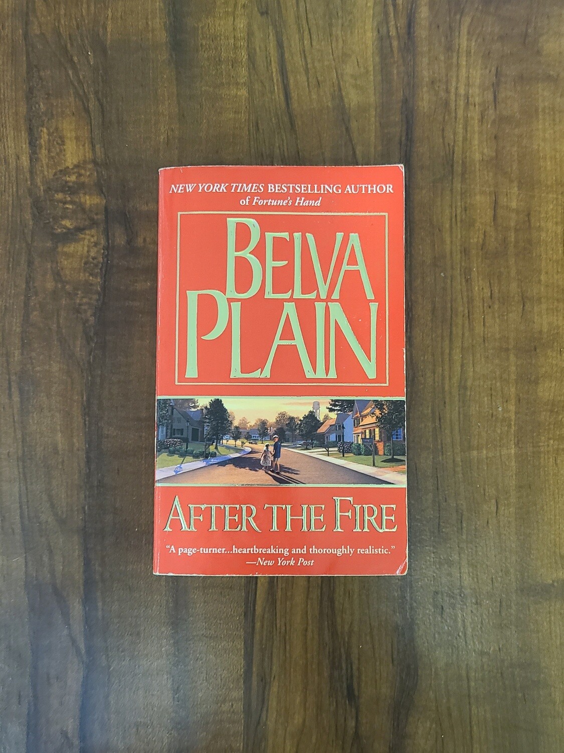 After the Fire by Belva Plain