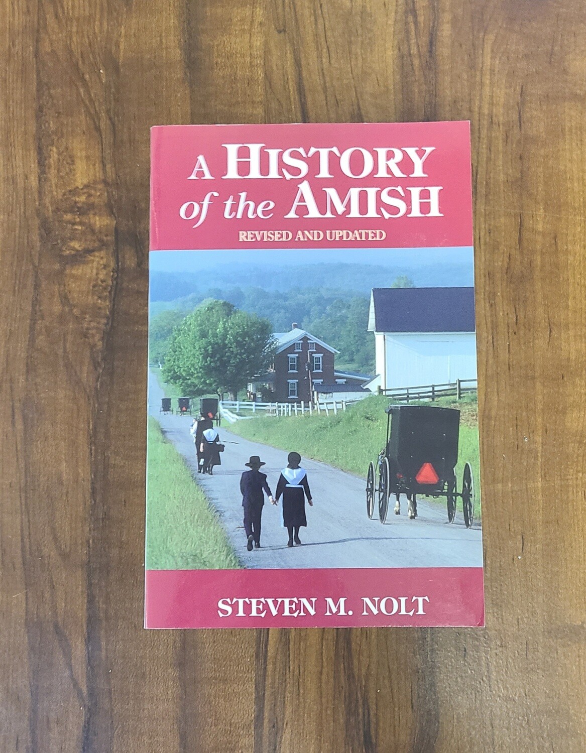 A History of the Amish by Steven M. Nolt