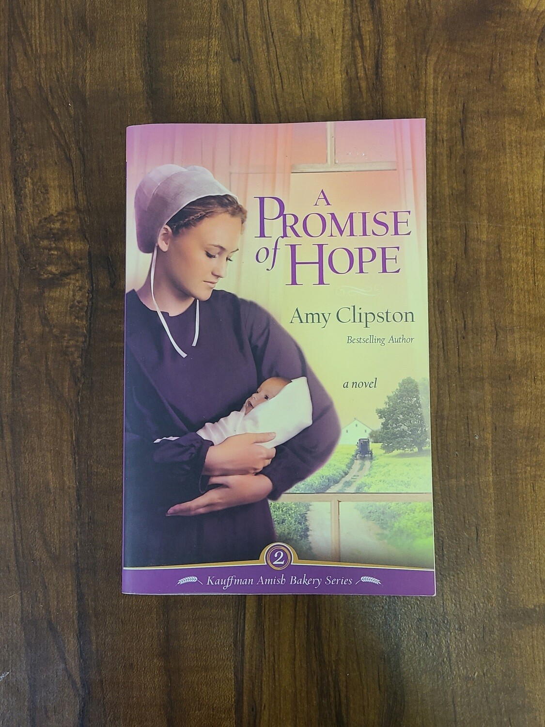 A Promise of Hope by Amy Clipston