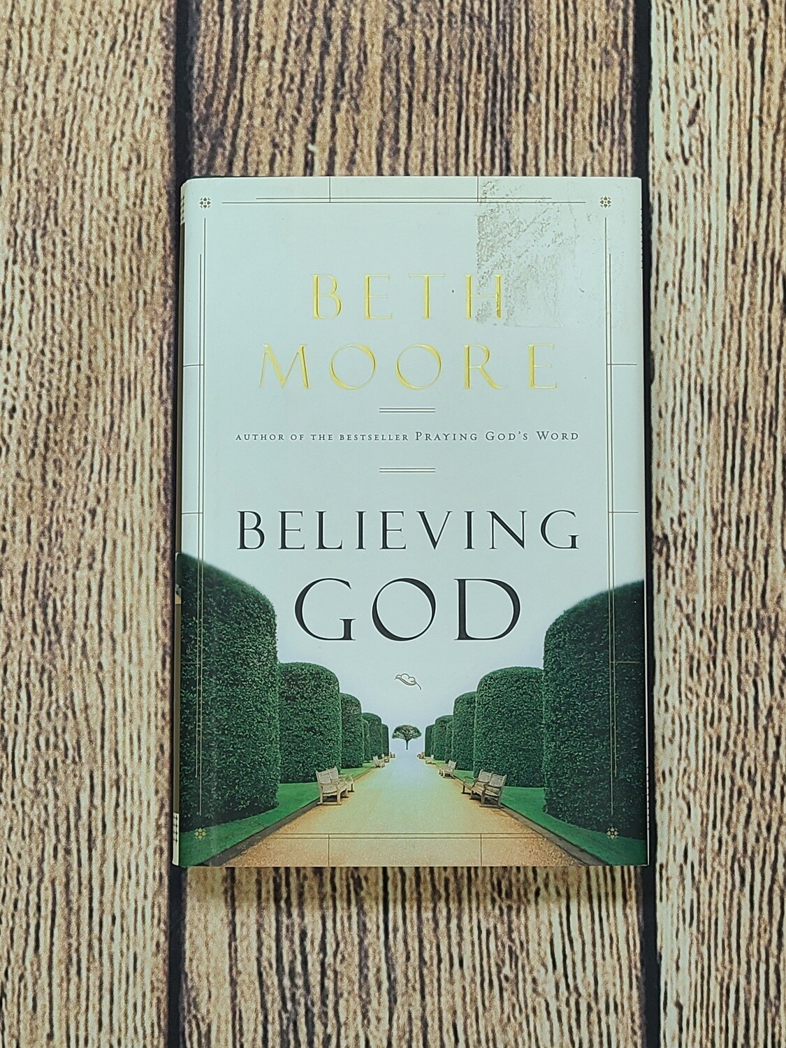 Believing God by Beth Moore