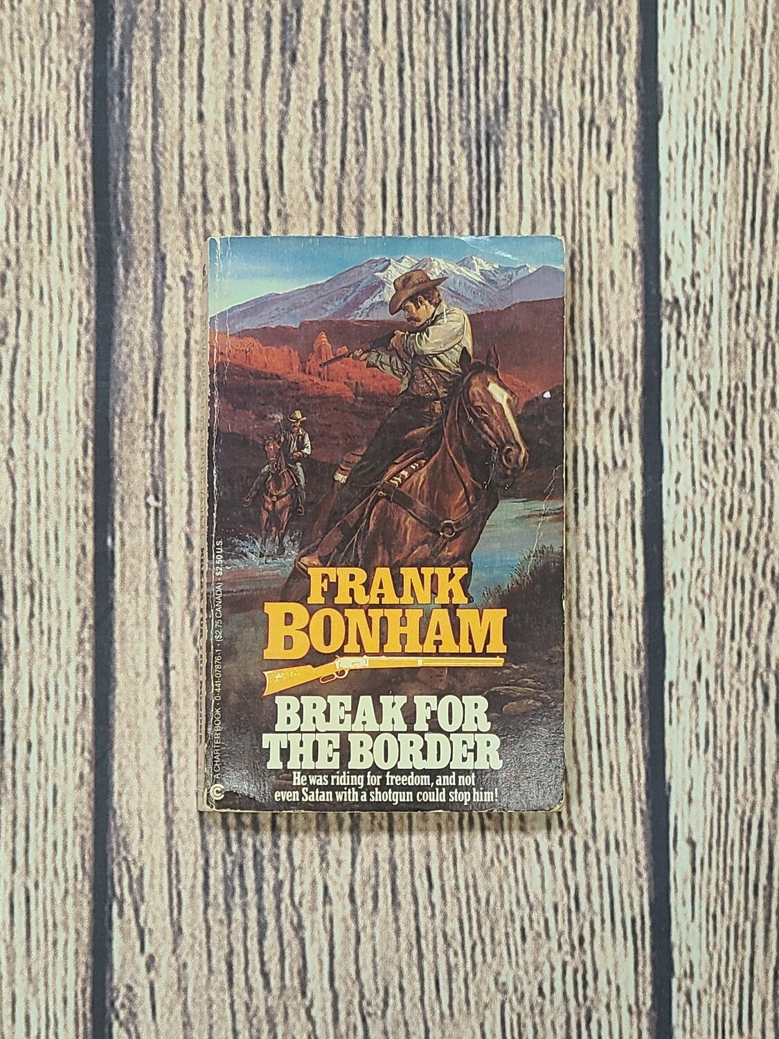Break for the Border by Frank Bonham