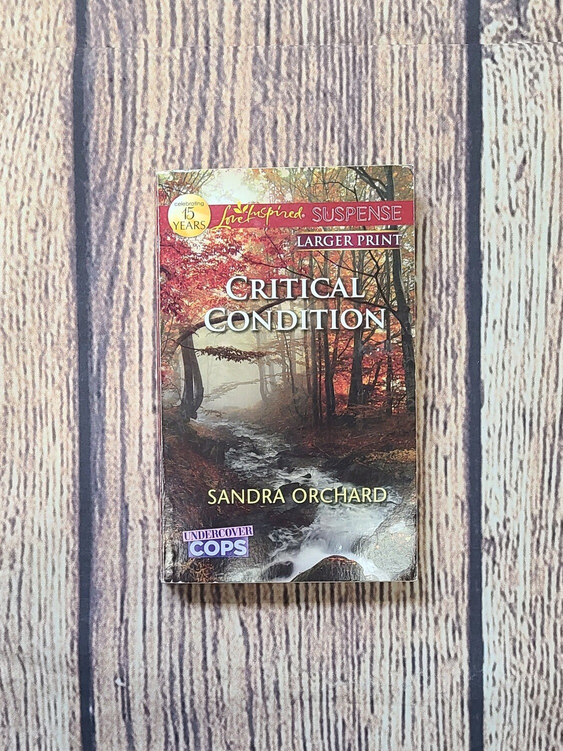 Critical Condition by Sandra Orchard