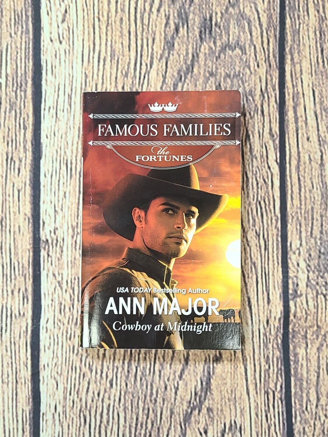 Cowboy at Midnight by Ann Major