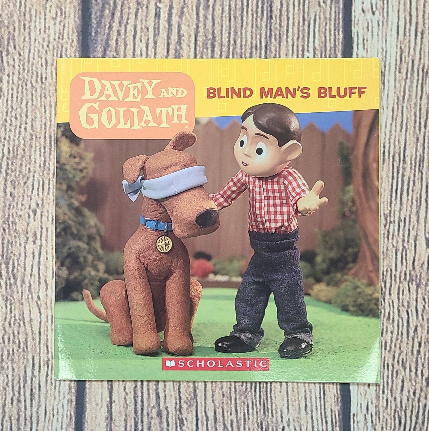 Davey and Goliath: Blind Man's Bluff by Sue Wright