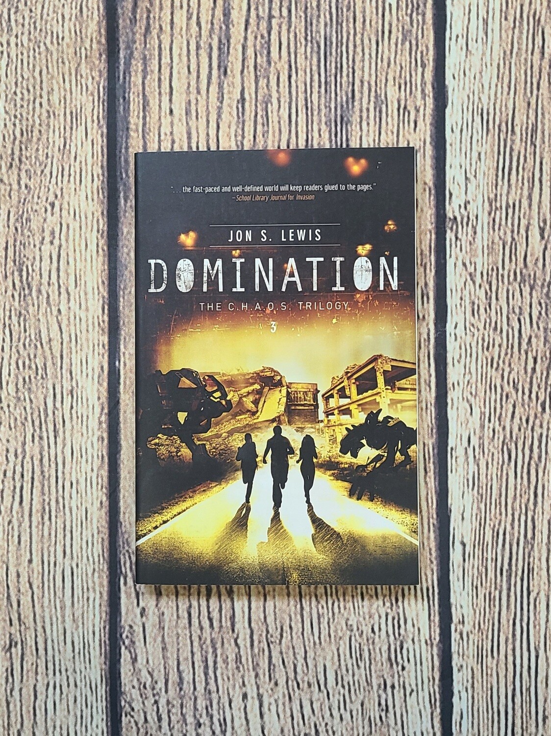 Domination by Jon S. Lewis