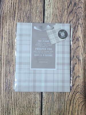I Know the Plans I Have for You Medium Gray Gift Bag