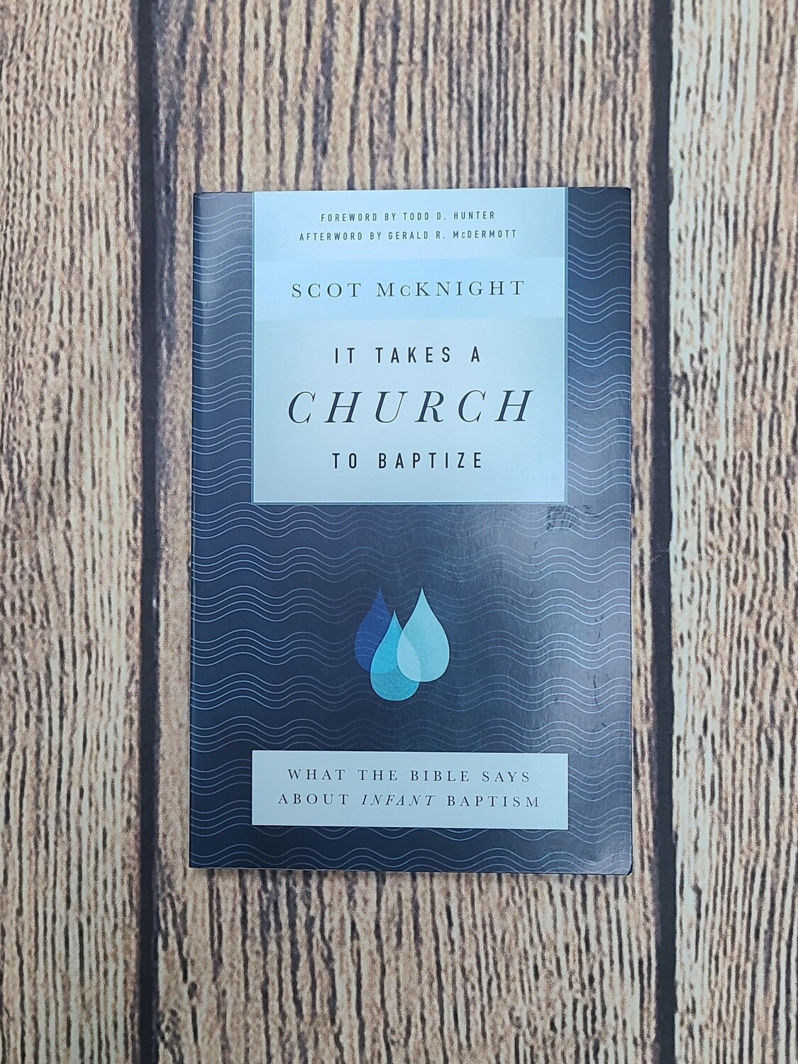 It Takes a Church to Baptize by Scot McKnight