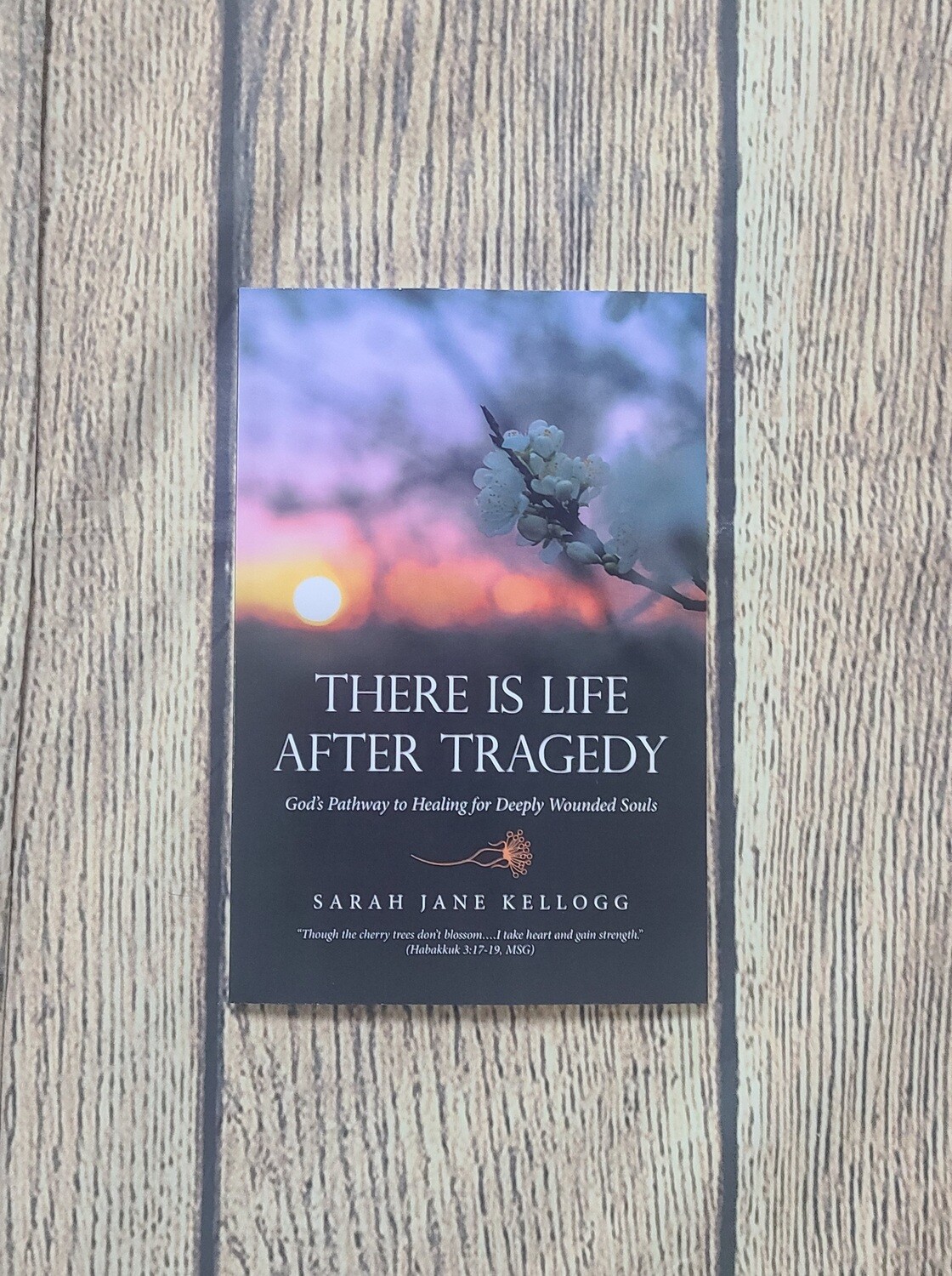 There is Life After Tragedy: God's Pathway to Healing for Deeply Wounded Souls by Sarah Jane Kellogg - Paperback - New
