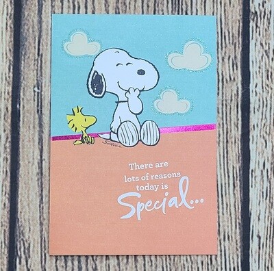 Dayspring Individual Birthday Cards - Set 27