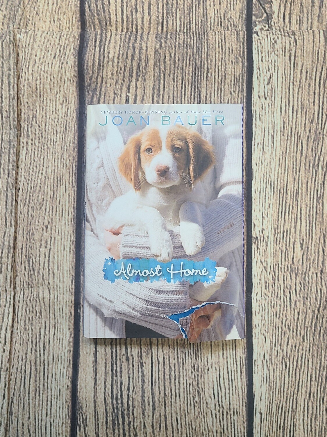Almost Home by Joan Bauer