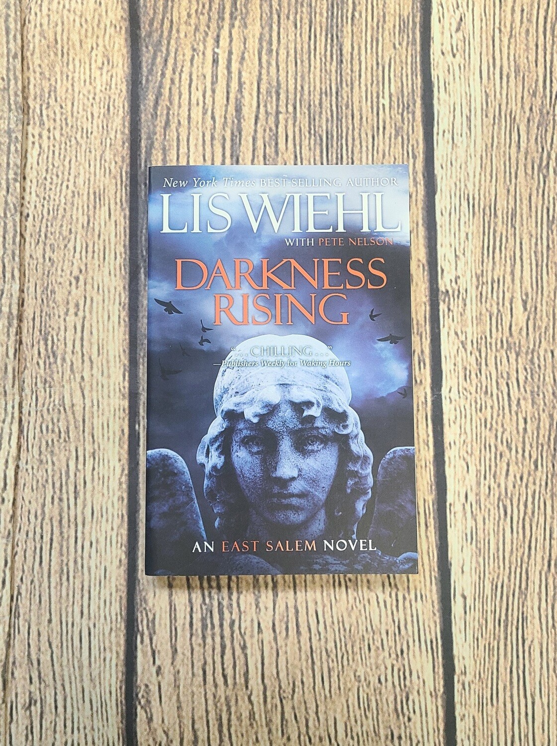 Darkness Rising by Lis Wiehl with Pete Nelson