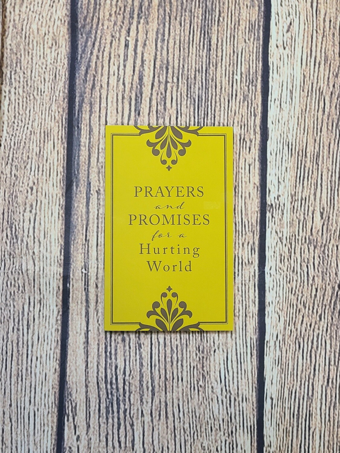 Prayers and Promises for a Hurting World by Laura Freudig