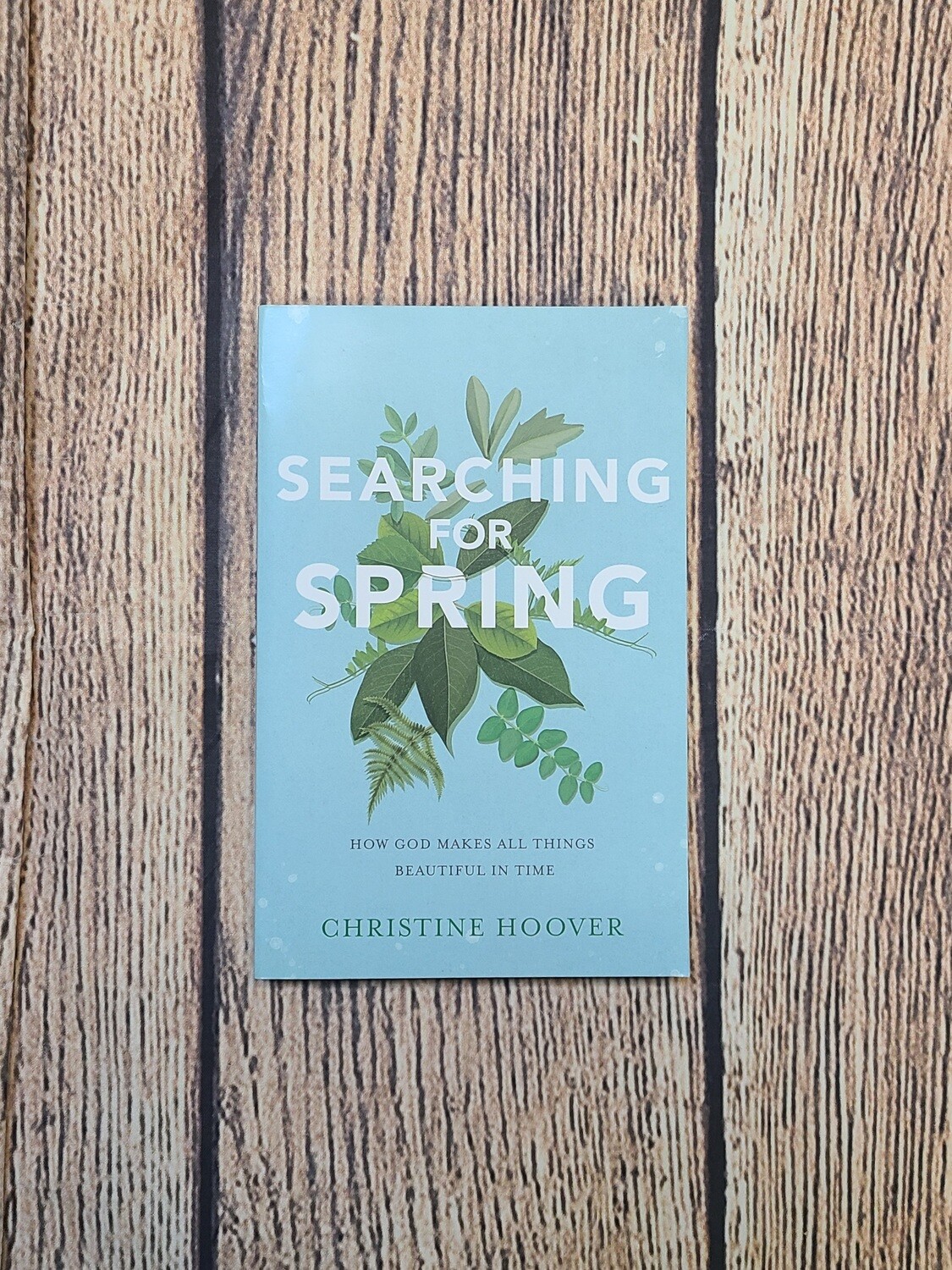 Searching for Spring: How God Makes All Things Beautiful In Time by Christine Hoover