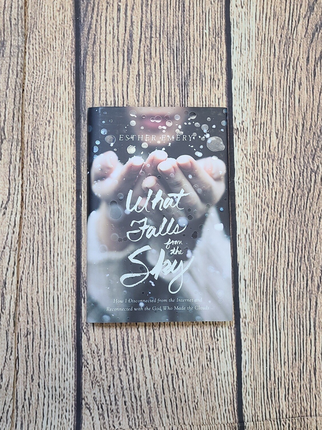 What Falls from the Sky: How I Disconnected from the Internet and Reconnected with the God Who Made the Clouds by Esther Emery