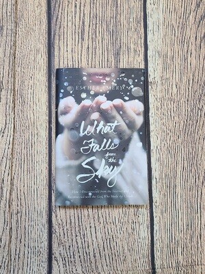 What Falls from the Sky: How I Disconnected from the Internet and Reconnected with the God Who Made the Clouds by Esther Emery
