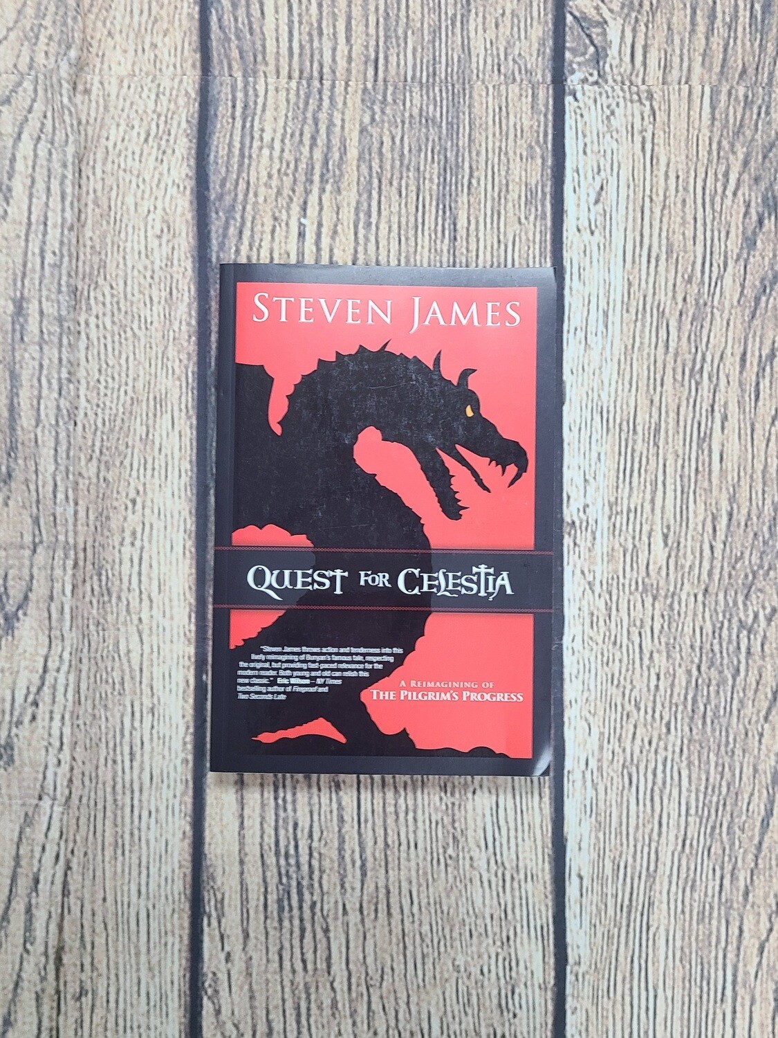 Quest for Celestia by Steven James
